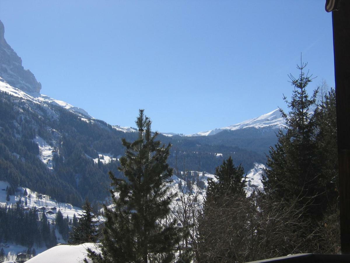 Ferienwohnung Casa Almis, Grindelwald Exterior foto